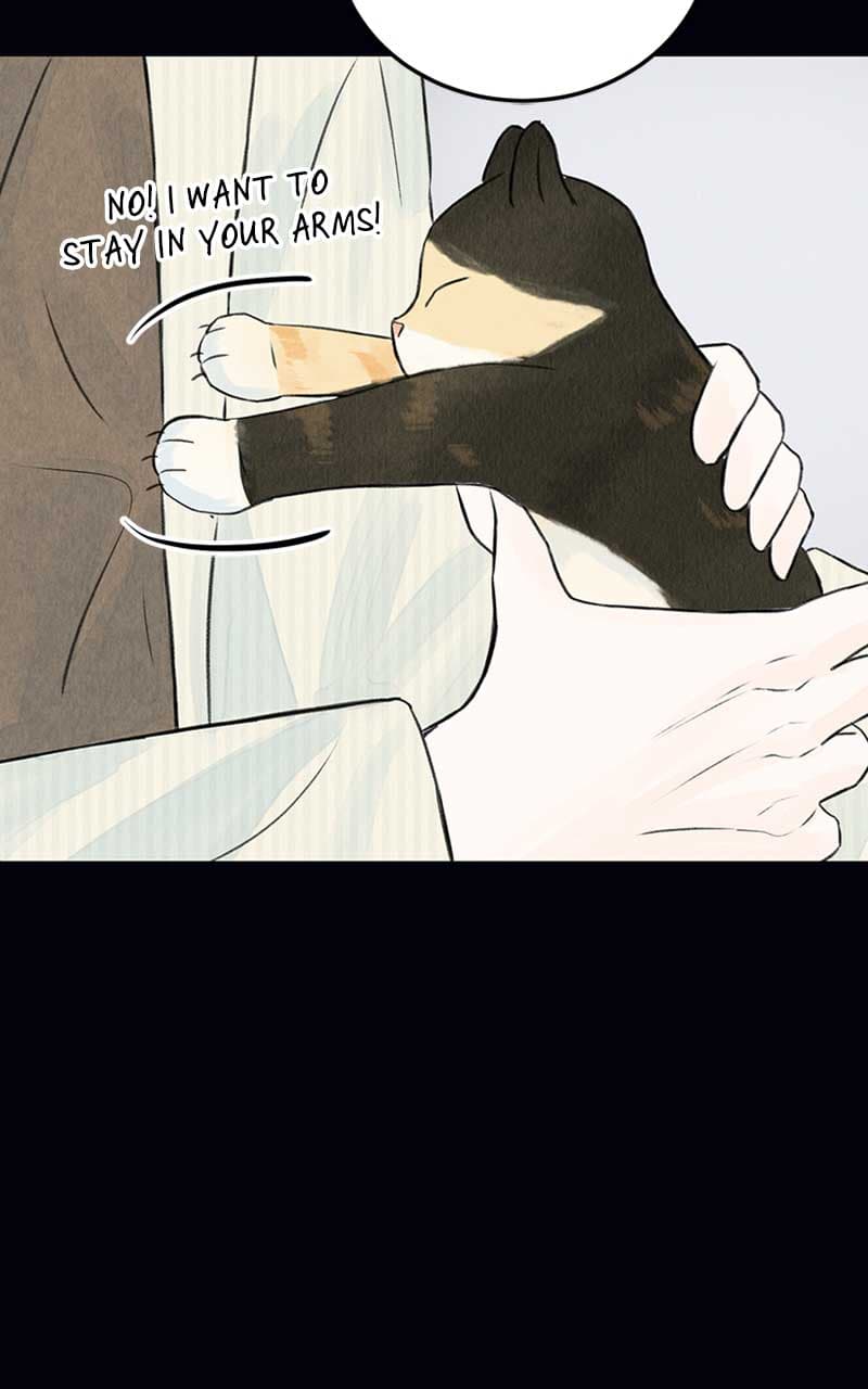 Page https://readmanhwaverse.com/images/want-to-see-my-cat/chapter-2/050.jpg