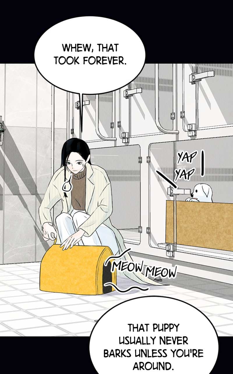 Page https://readmanhwaverse.com/images/want-to-see-my-cat/chapter-2/051.jpg