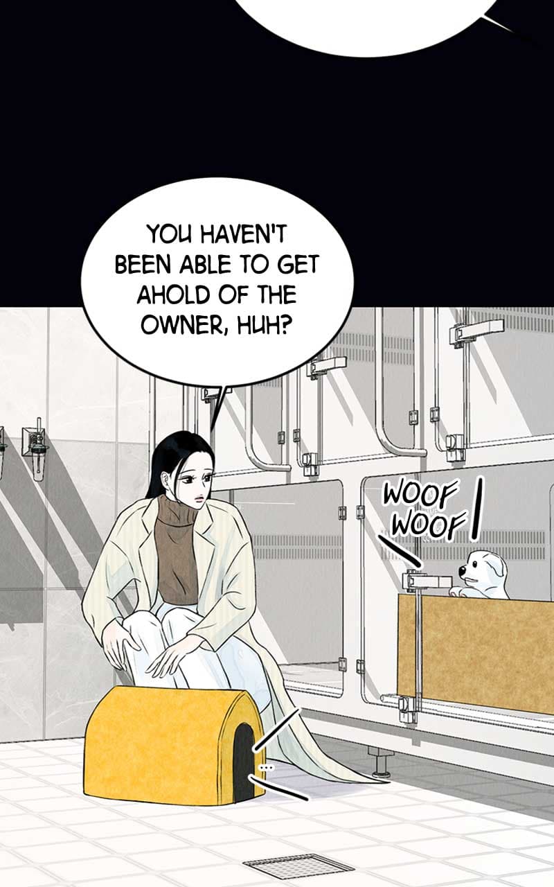 Page https://readmanhwaverse.com/images/want-to-see-my-cat/chapter-2/052.jpg