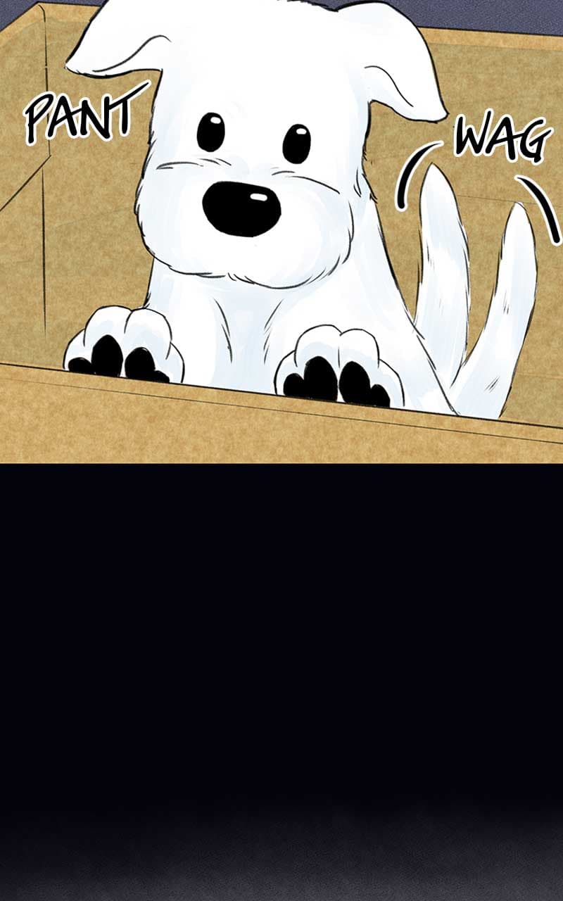 Page https://readmanhwaverse.com/images/want-to-see-my-cat/chapter-2/057.jpg