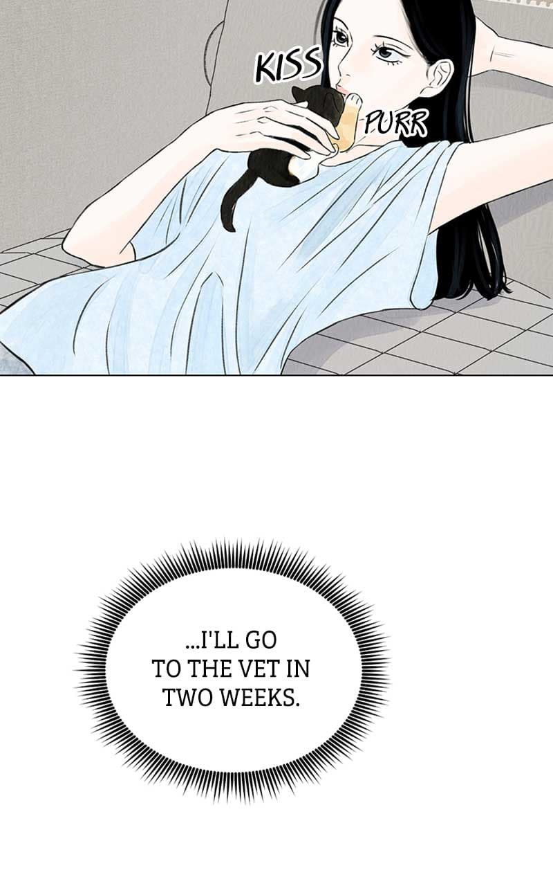Page https://readmanhwaverse.com/images/want-to-see-my-cat/chapter-2/061.jpg