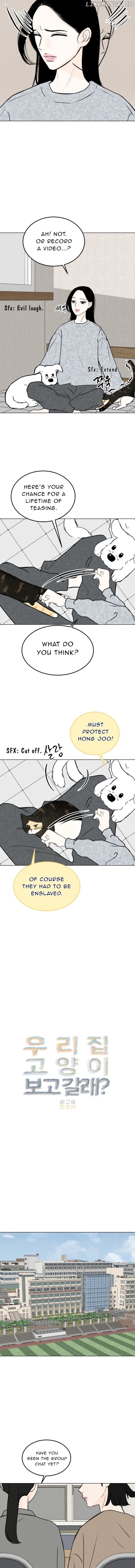 Page https://readmanhwaverse.com/images/want-to-see-my-cat/chapter-22/008.jpg