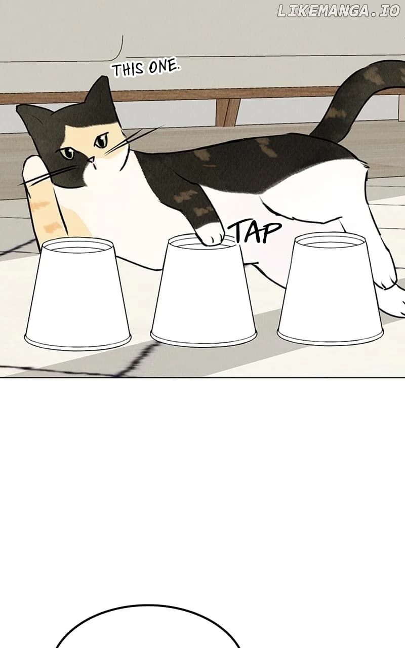 Page https://readmanhwaverse.com/images/want-to-see-my-cat/chapter-23/43.webp