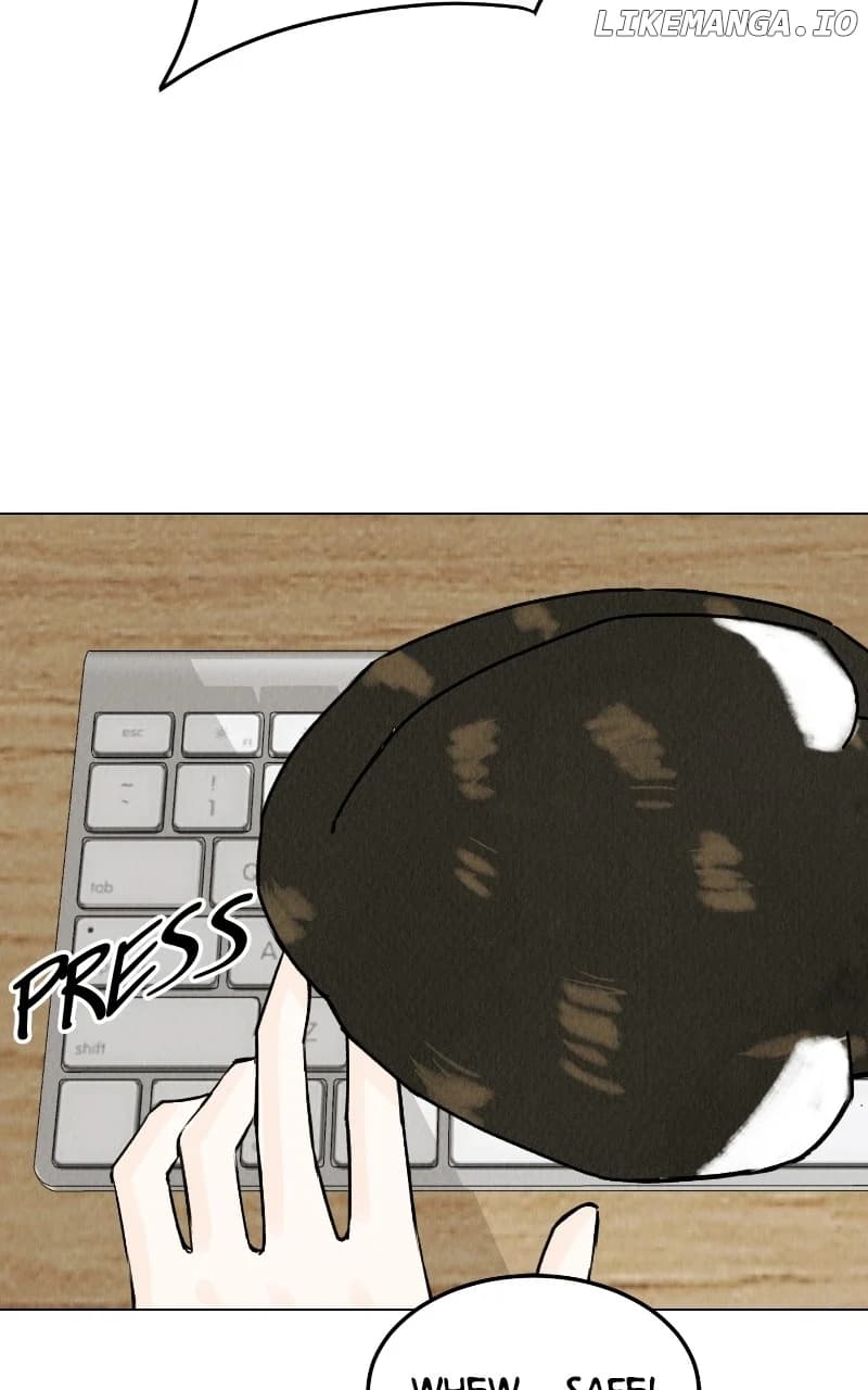 Page https://readmanhwaverse.com/images/want-to-see-my-cat/chapter-25/39.webp