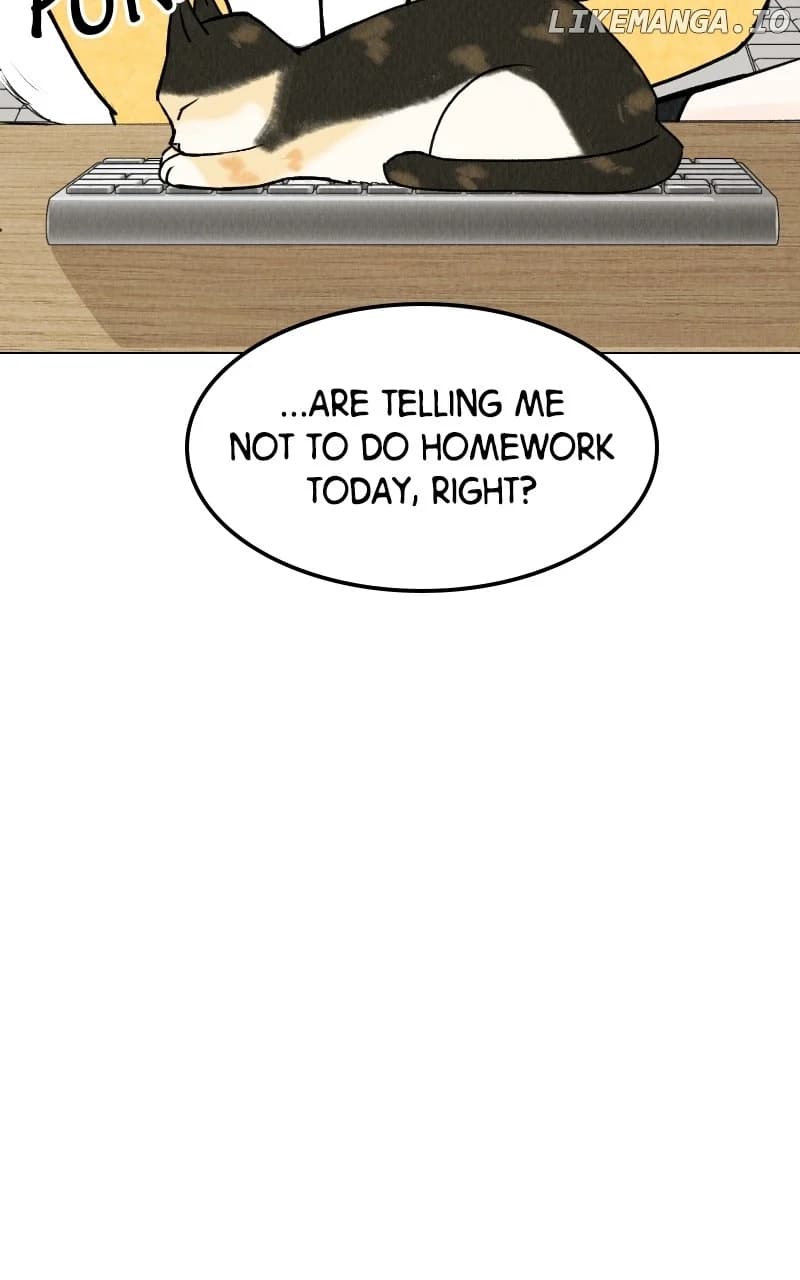 Page https://readmanhwaverse.com/images/want-to-see-my-cat/chapter-25/43.webp