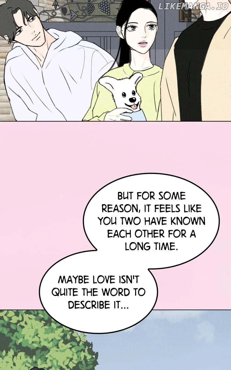 Page https://readmanhwaverse.com/images/want-to-see-my-cat/chapter-26/43.webp