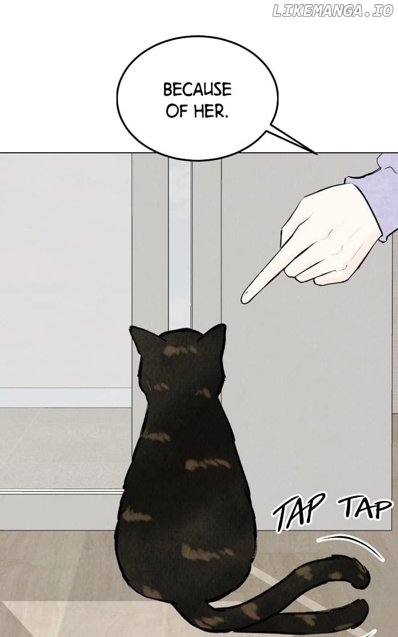 Page https://readmanhwaverse.com/images/want-to-see-my-cat/chapter-27/03.webp