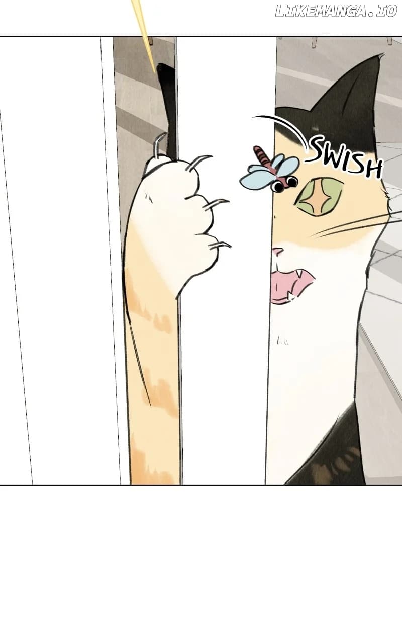Page https://readmanhwaverse.com/images/want-to-see-my-cat/chapter-27/07.webp