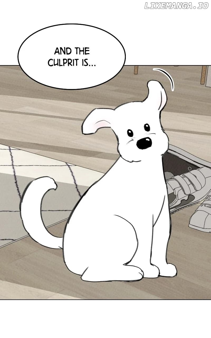 Page https://readmanhwaverse.com/images/want-to-see-my-cat/chapter-28/52.webp