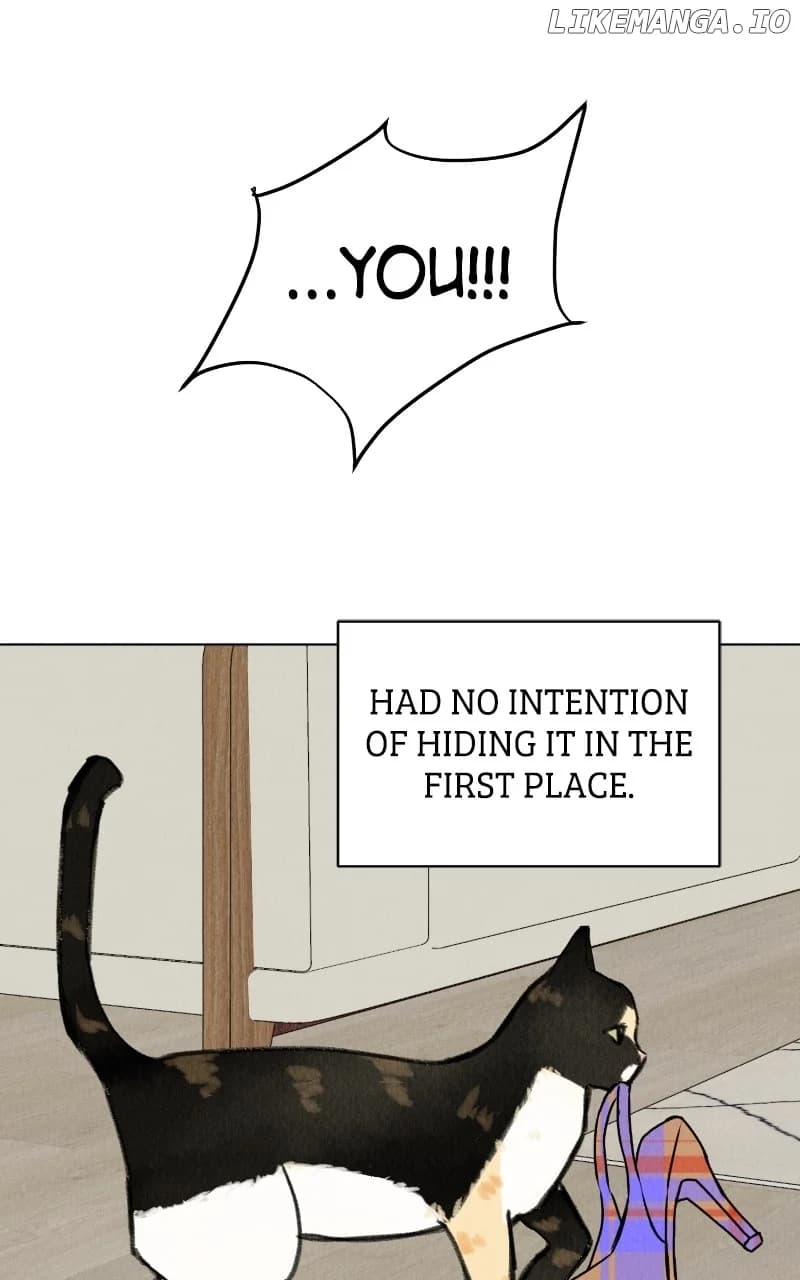 Page https://readmanhwaverse.com/images/want-to-see-my-cat/chapter-28/53.webp