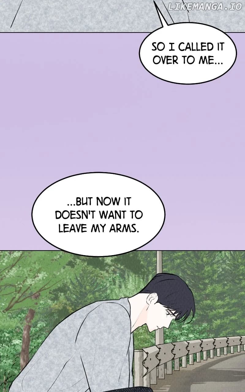 Page https://readmanhwaverse.com/images/want-to-see-my-cat/chapter-29/04.webp