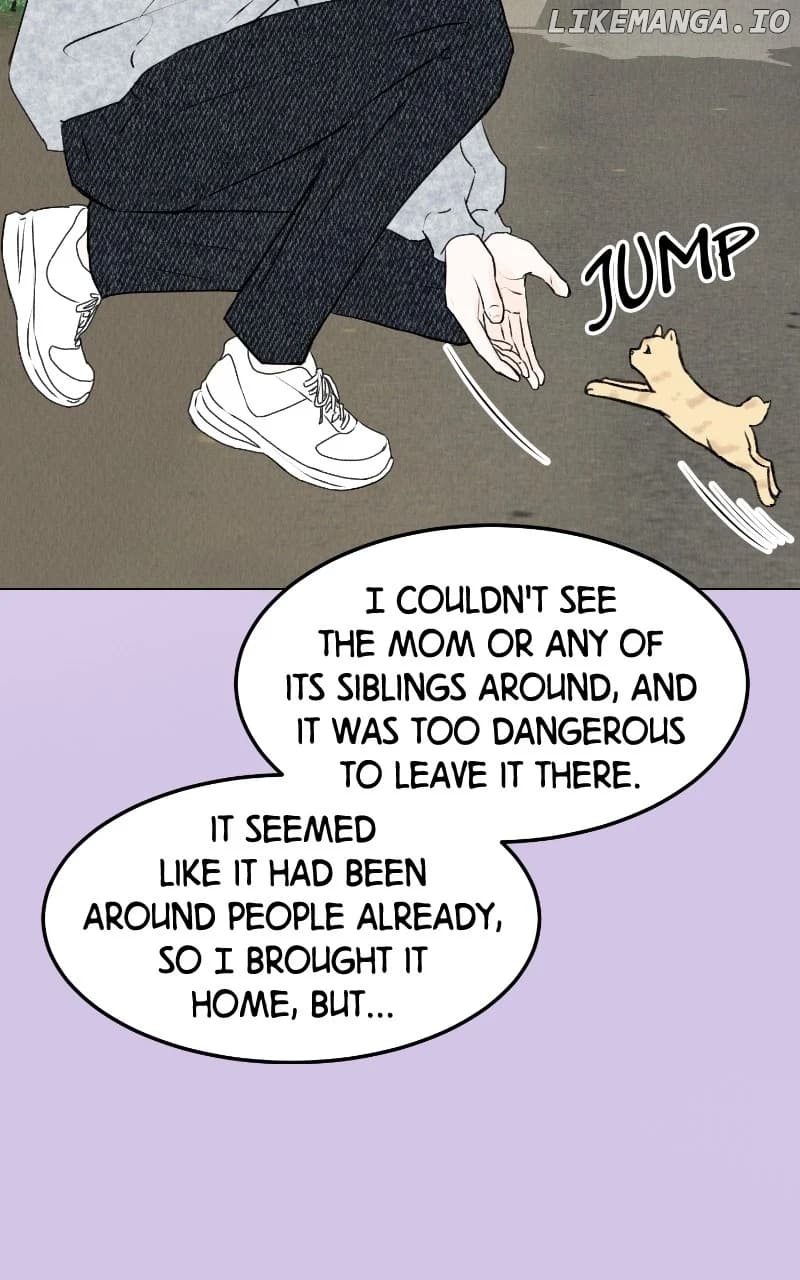 Page https://readmanhwaverse.com/images/want-to-see-my-cat/chapter-29/05.webp