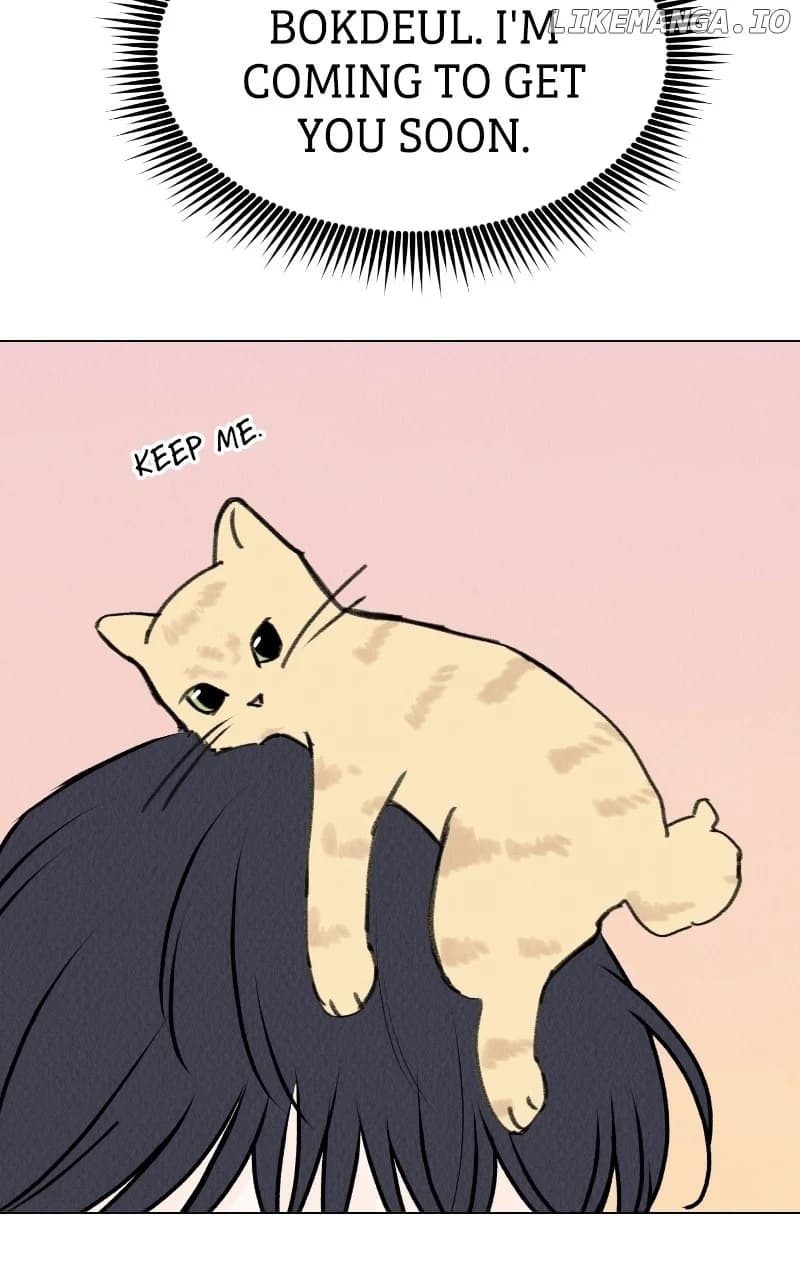 Page https://readmanhwaverse.com/images/want-to-see-my-cat/chapter-29/11.webp