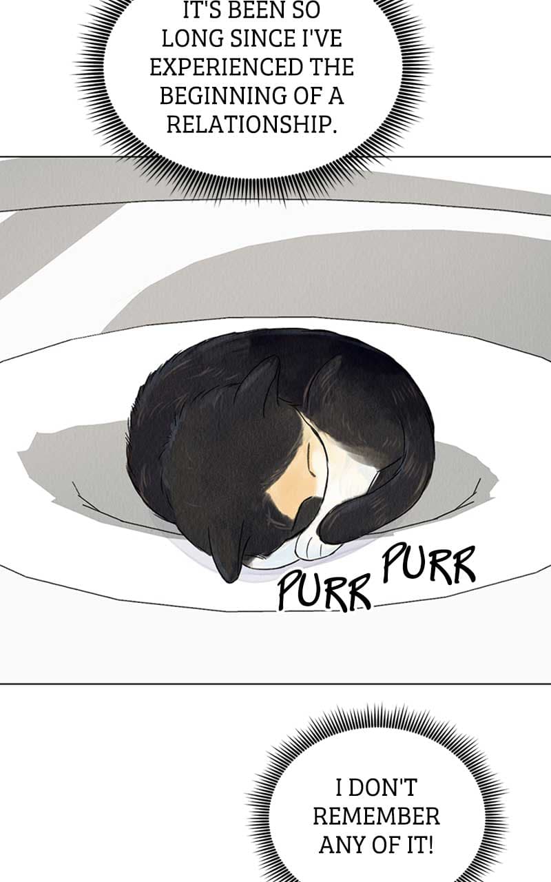 Page https://readmanhwaverse.com/images/want-to-see-my-cat/chapter-3/004.jpg