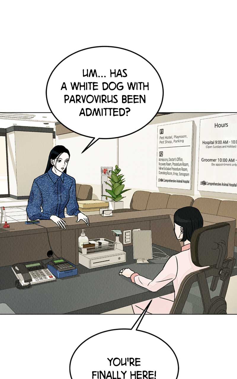 Page https://readmanhwaverse.com/images/want-to-see-my-cat/chapter-3/082.jpg