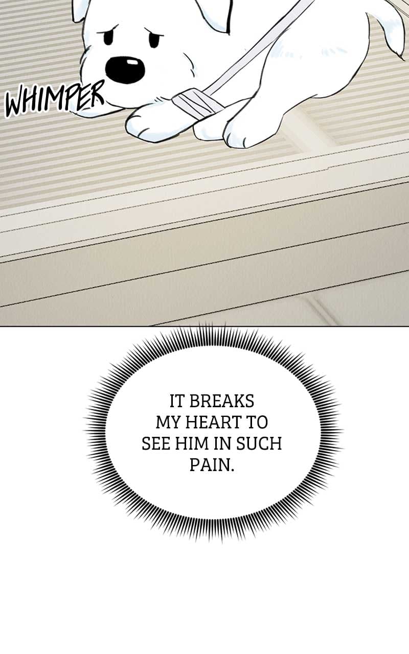 Page https://readmanhwaverse.com/images/want-to-see-my-cat/chapter-3/087.jpg