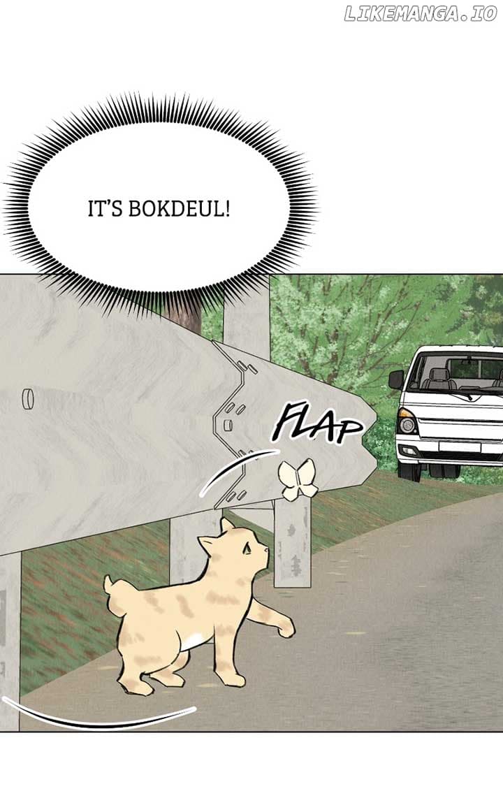 Page https://readmanhwaverse.com/images/want-to-see-my-cat/chapter-30/81.jpg