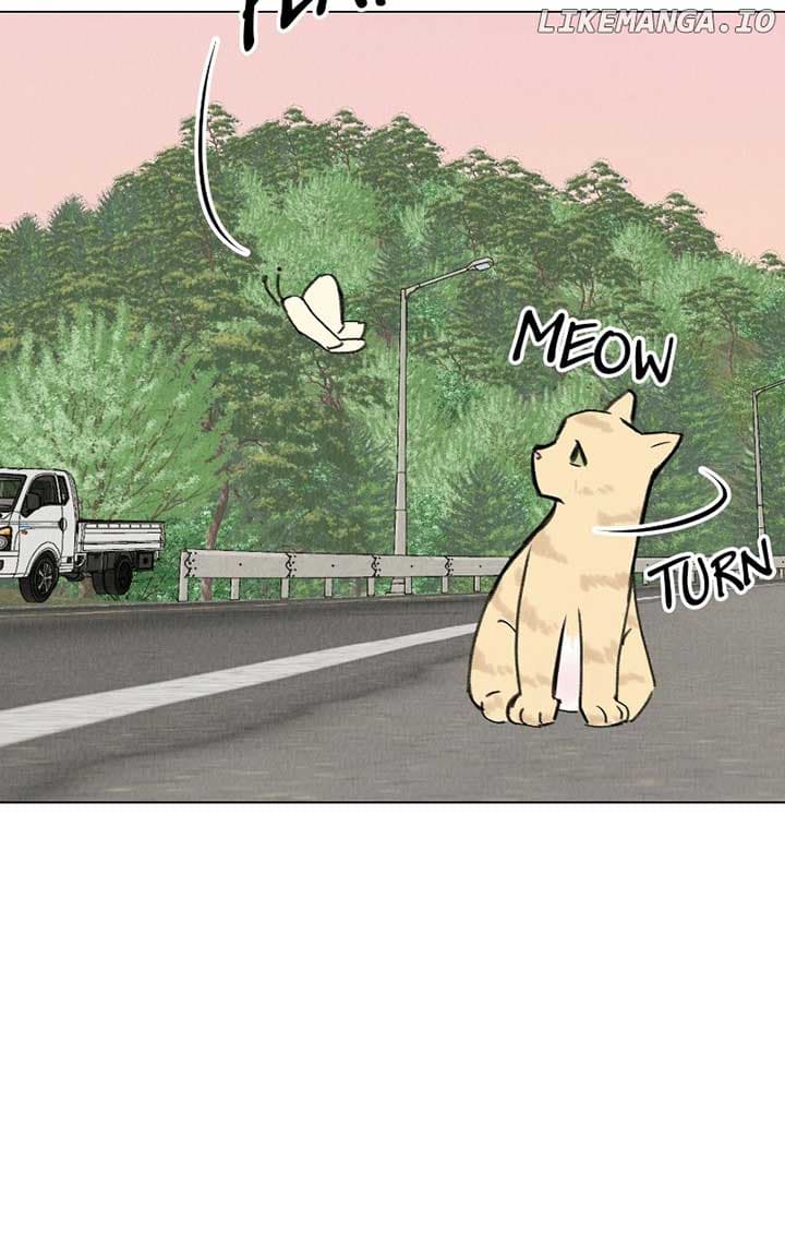 Page https://readmanhwaverse.com/images/want-to-see-my-cat/chapter-30/85.jpg