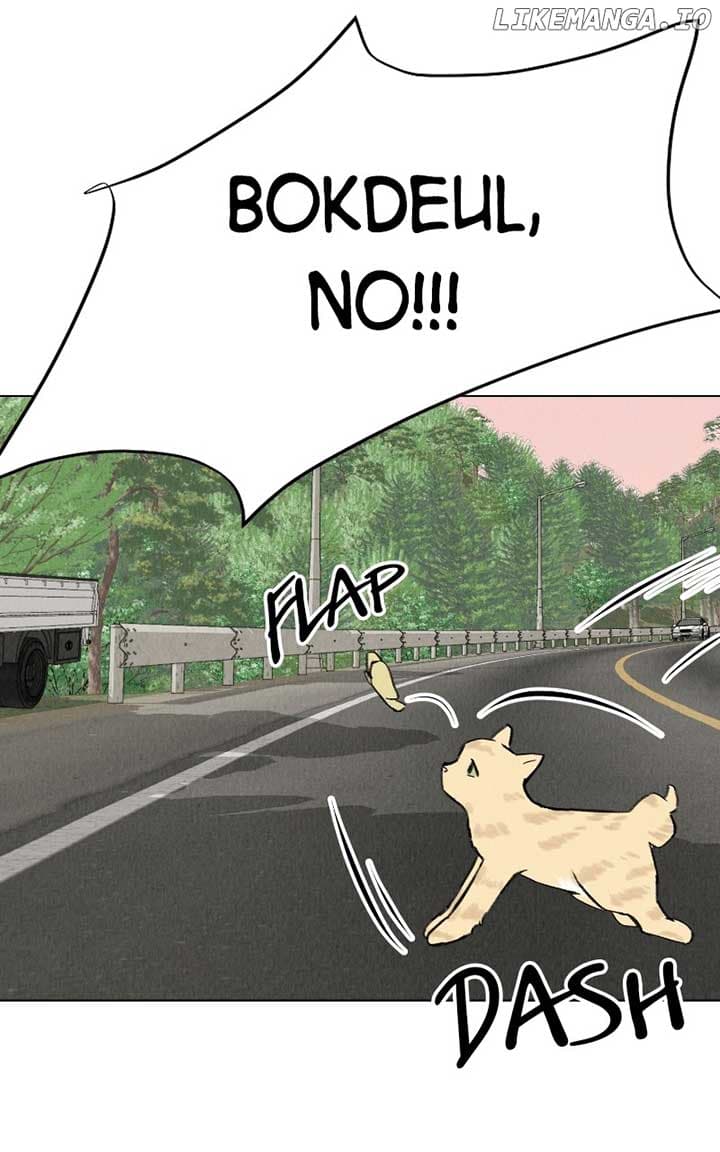 Page https://readmanhwaverse.com/images/want-to-see-my-cat/chapter-30/86.jpg