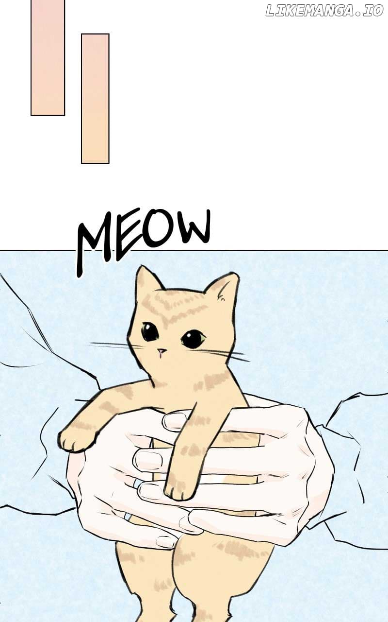 Page https://readmanhwaverse.com/images/want-to-see-my-cat/chapter-31/13.jpg