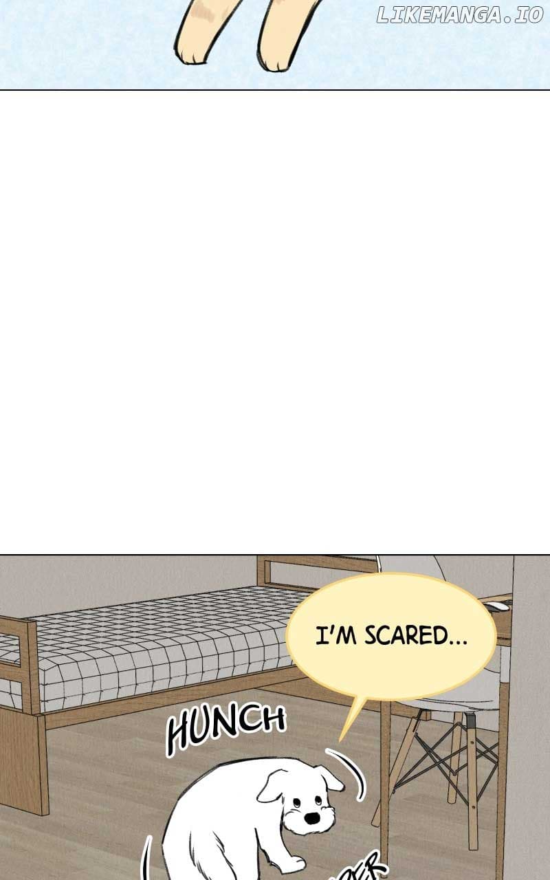 Page https://readmanhwaverse.com/images/want-to-see-my-cat/chapter-31/14.jpg