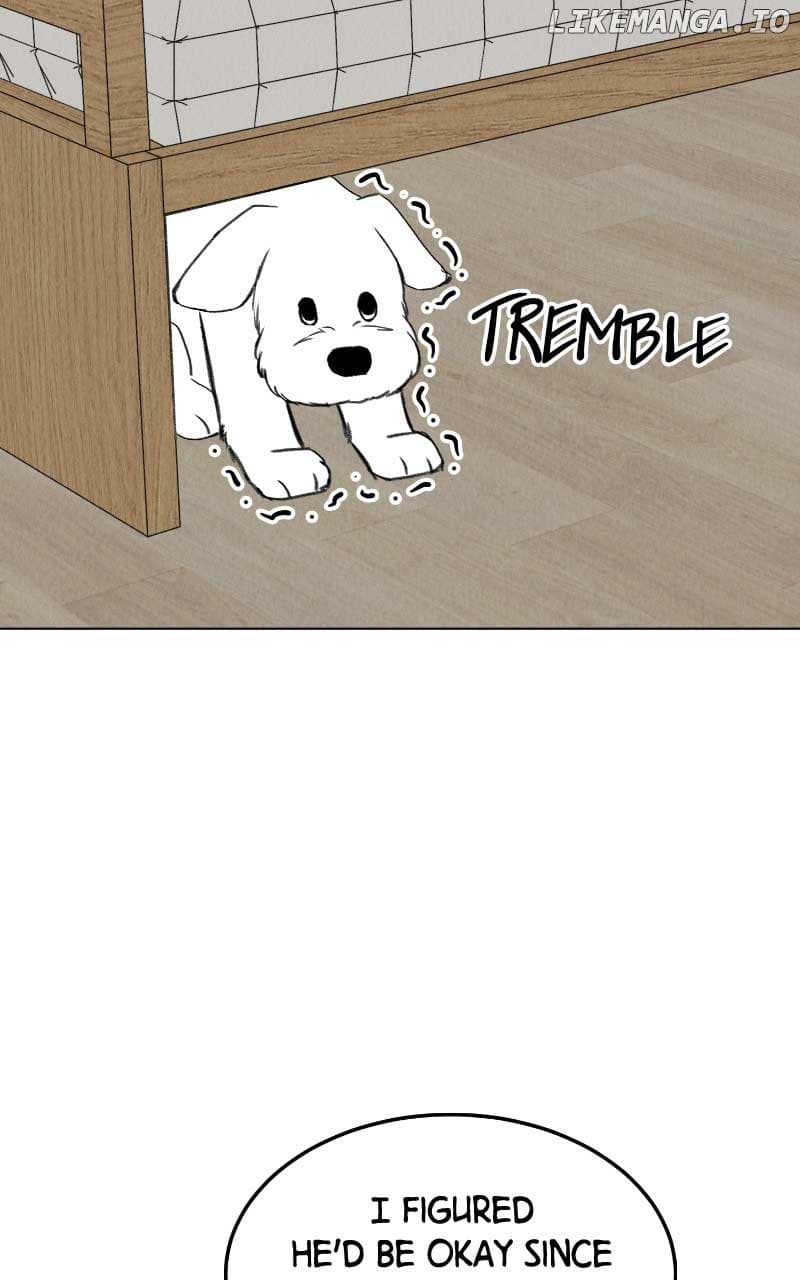 Page https://readmanhwaverse.com/images/want-to-see-my-cat/chapter-31/16.jpg