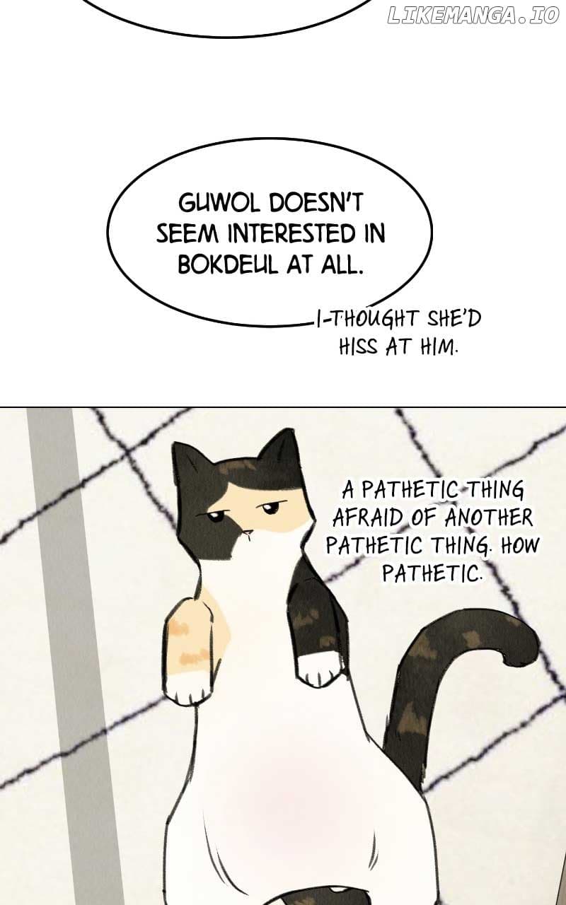 Page https://readmanhwaverse.com/images/want-to-see-my-cat/chapter-31/18.jpg