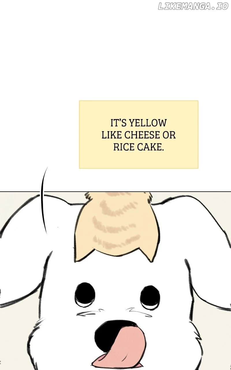 Page https://readmanhwaverse.com/images/want-to-see-my-cat/chapter-33/16.webp