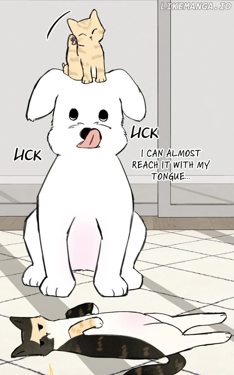 Page https://readmanhwaverse.com/images/want-to-see-my-cat/chapter-33/19.webp
