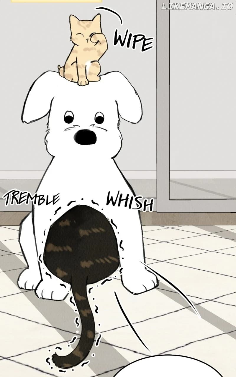 Page https://readmanhwaverse.com/images/want-to-see-my-cat/chapter-33/21.webp