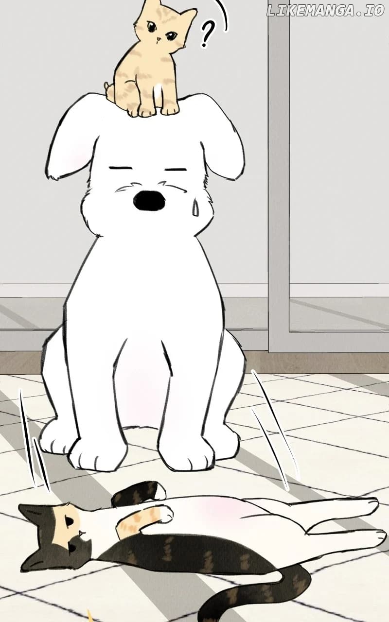 Page https://readmanhwaverse.com/images/want-to-see-my-cat/chapter-33/24.webp