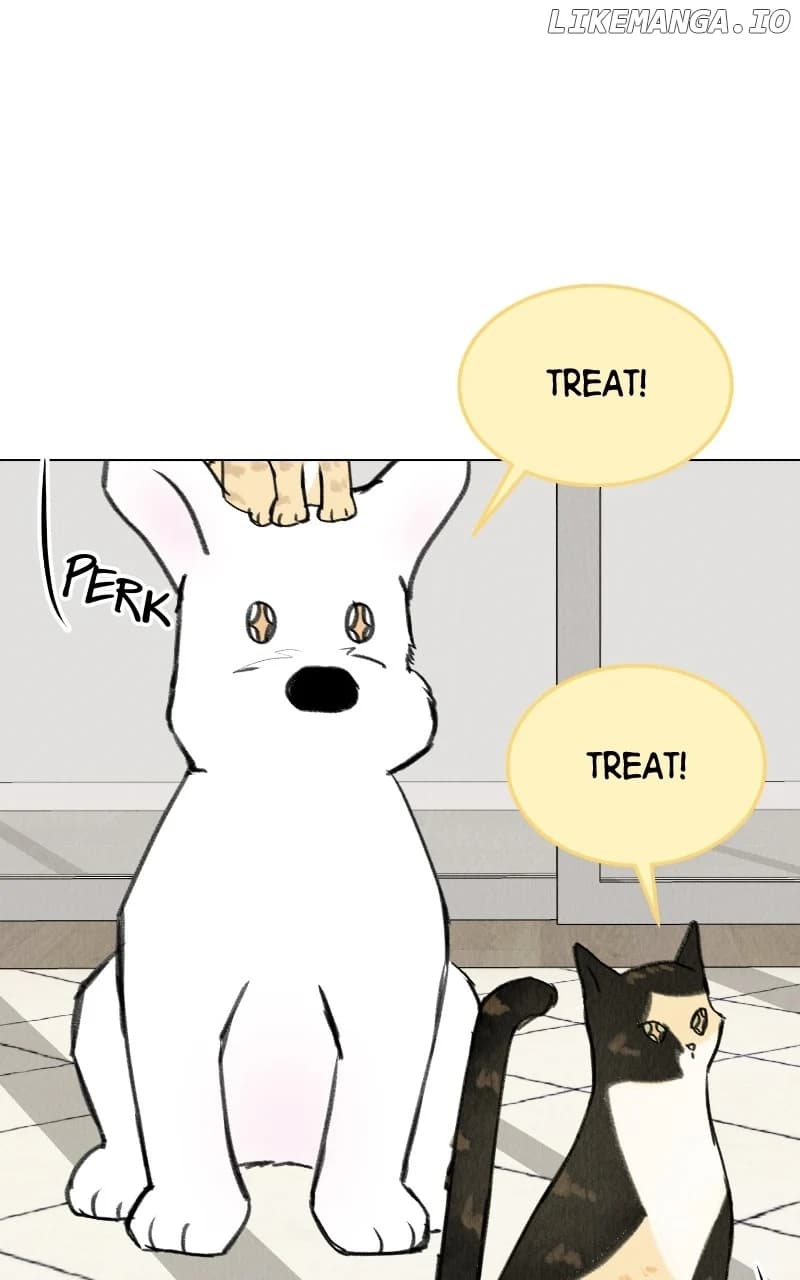 Page https://readmanhwaverse.com/images/want-to-see-my-cat/chapter-33/27.webp