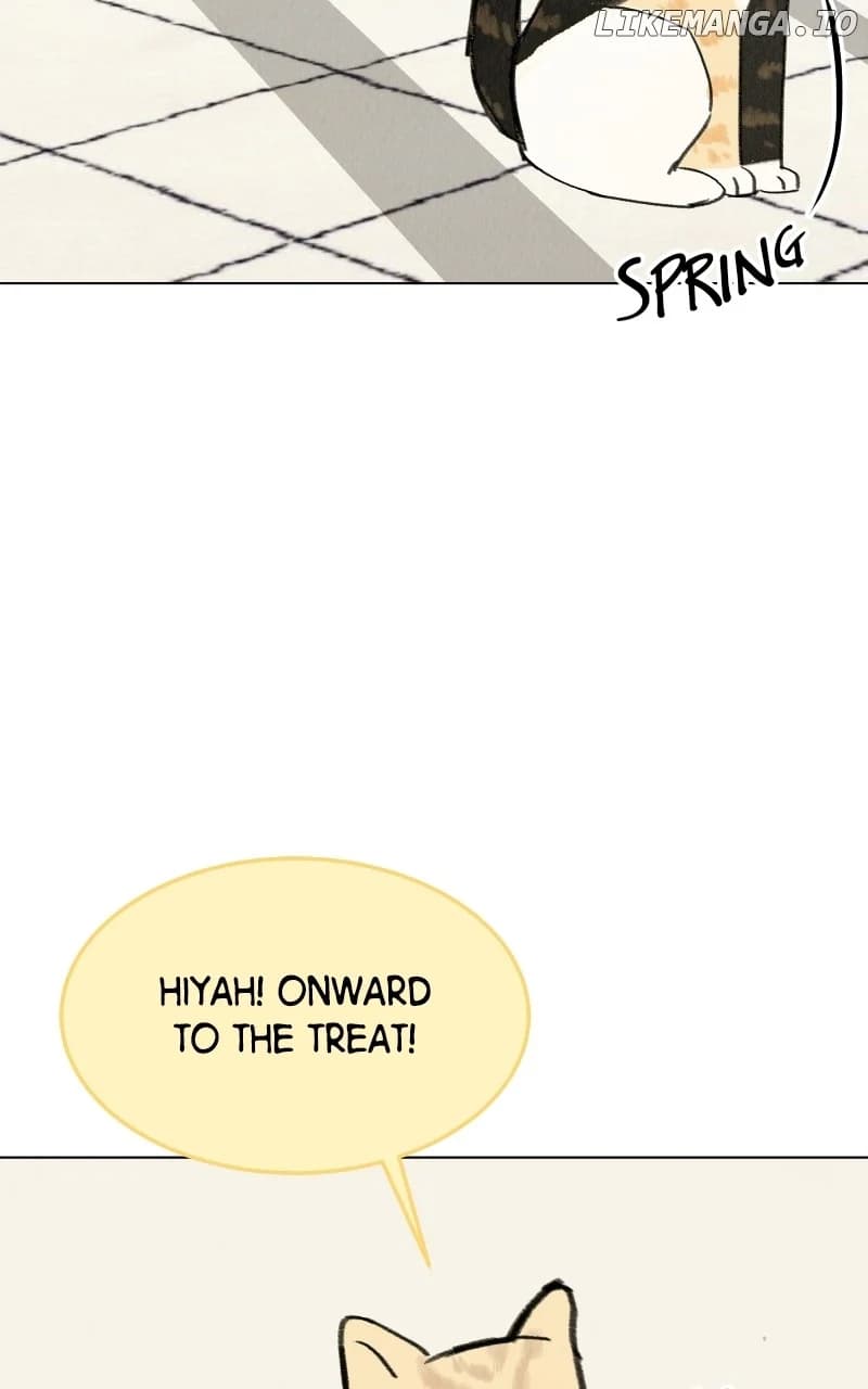 Page https://readmanhwaverse.com/images/want-to-see-my-cat/chapter-33/28.webp