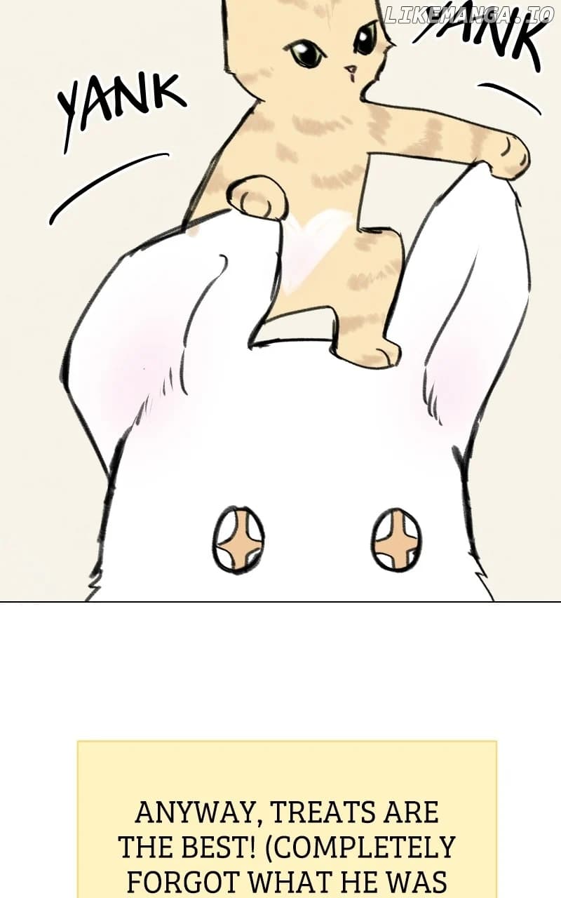 Page https://readmanhwaverse.com/images/want-to-see-my-cat/chapter-33/29.webp