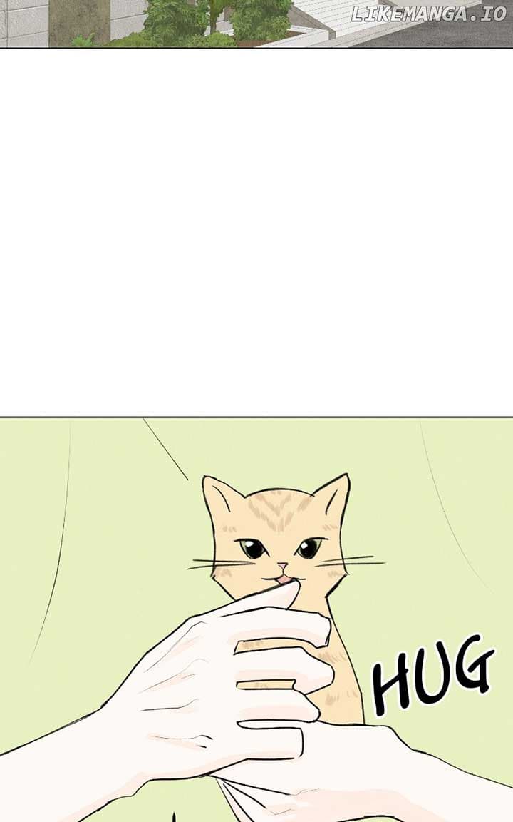Page https://readmanhwaverse.com/images/want-to-see-my-cat/chapter-35/ch_35_70.jpg
