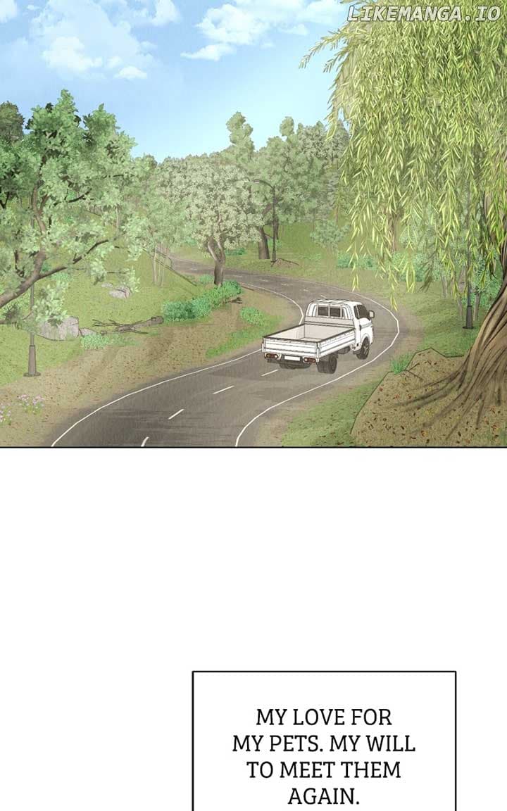 Page https://readmanhwaverse.com/images/want-to-see-my-cat/chapter-35/ch_35_80.jpg