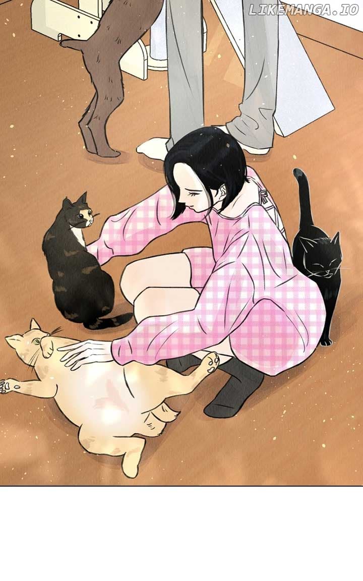 Page https://readmanhwaverse.com/images/want-to-see-my-cat/chapter-35/ch_35_82.jpg