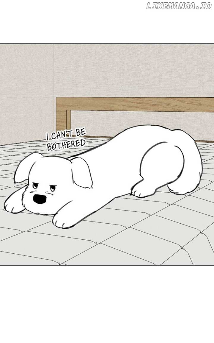 Page https://readmanhwaverse.com/images/want-to-see-my-cat/chapter-36/ch_36_4.jpg