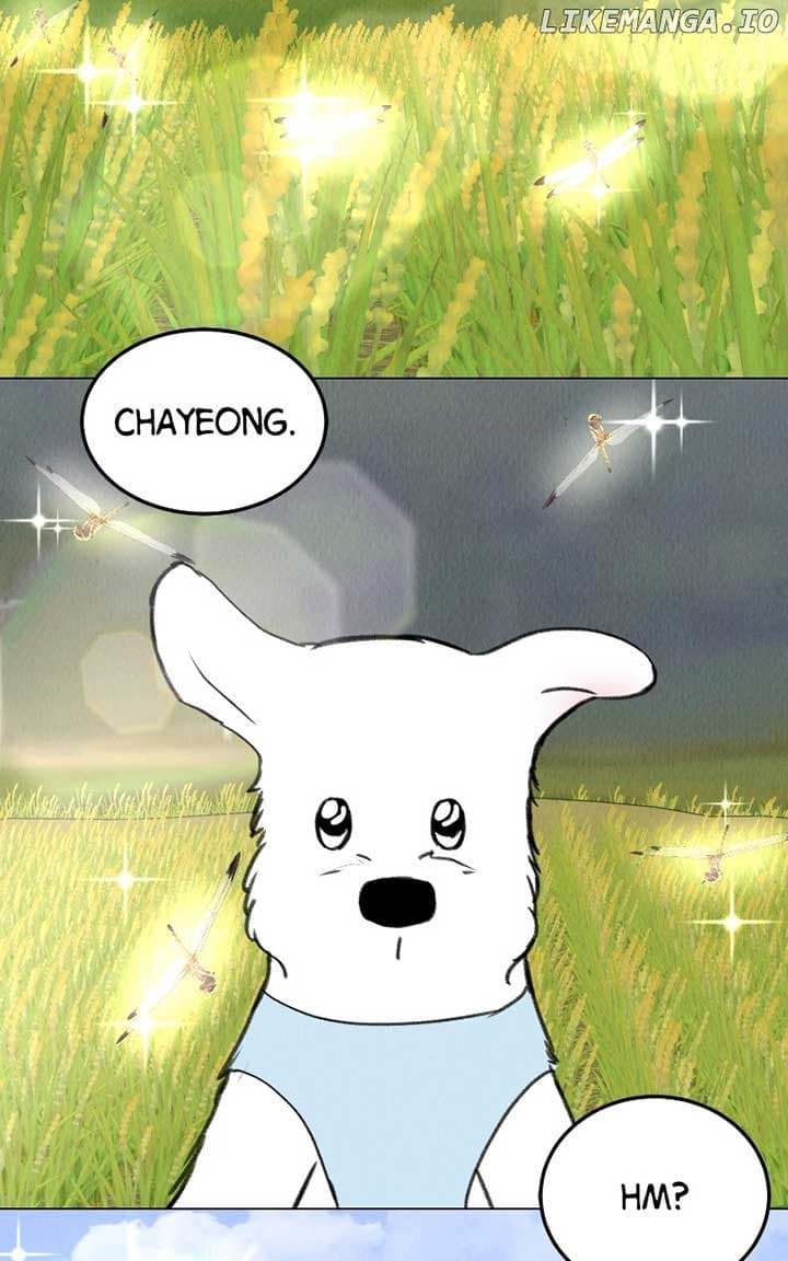 Page https://readmanhwaverse.com/images/want-to-see-my-cat/chapter-36/ch_36_83.jpg