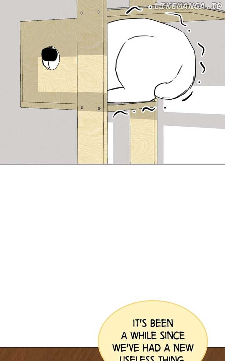 Page https://readmanhwaverse.com/images/want-to-see-my-cat/chapter-38/49.jpg