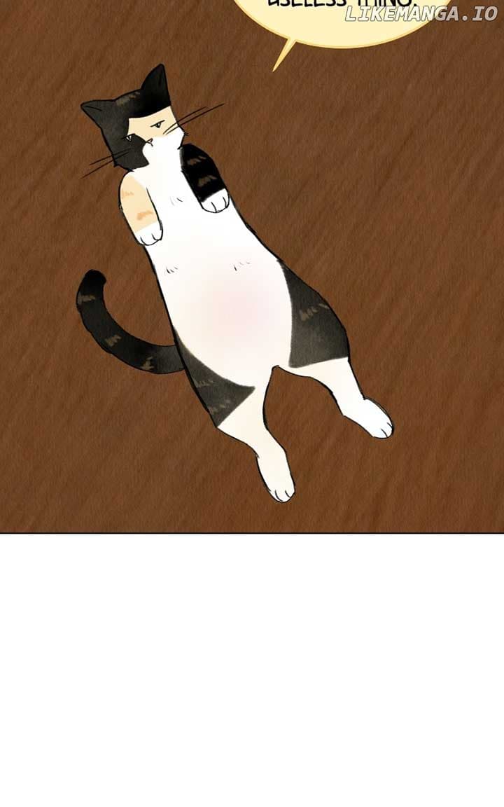 Page https://readmanhwaverse.com/images/want-to-see-my-cat/chapter-38/50.jpg