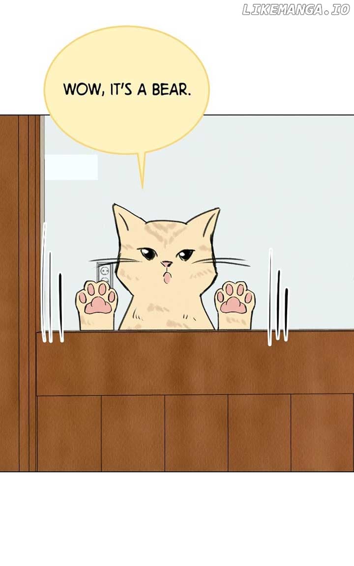 Page https://readmanhwaverse.com/images/want-to-see-my-cat/chapter-38/51.jpg