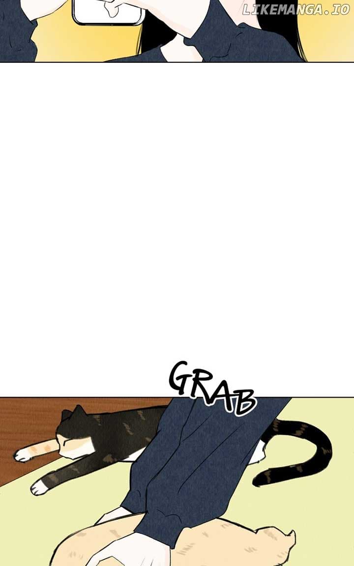 Page https://readmanhwaverse.com/images/want-to-see-my-cat/chapter-39/29.jpg