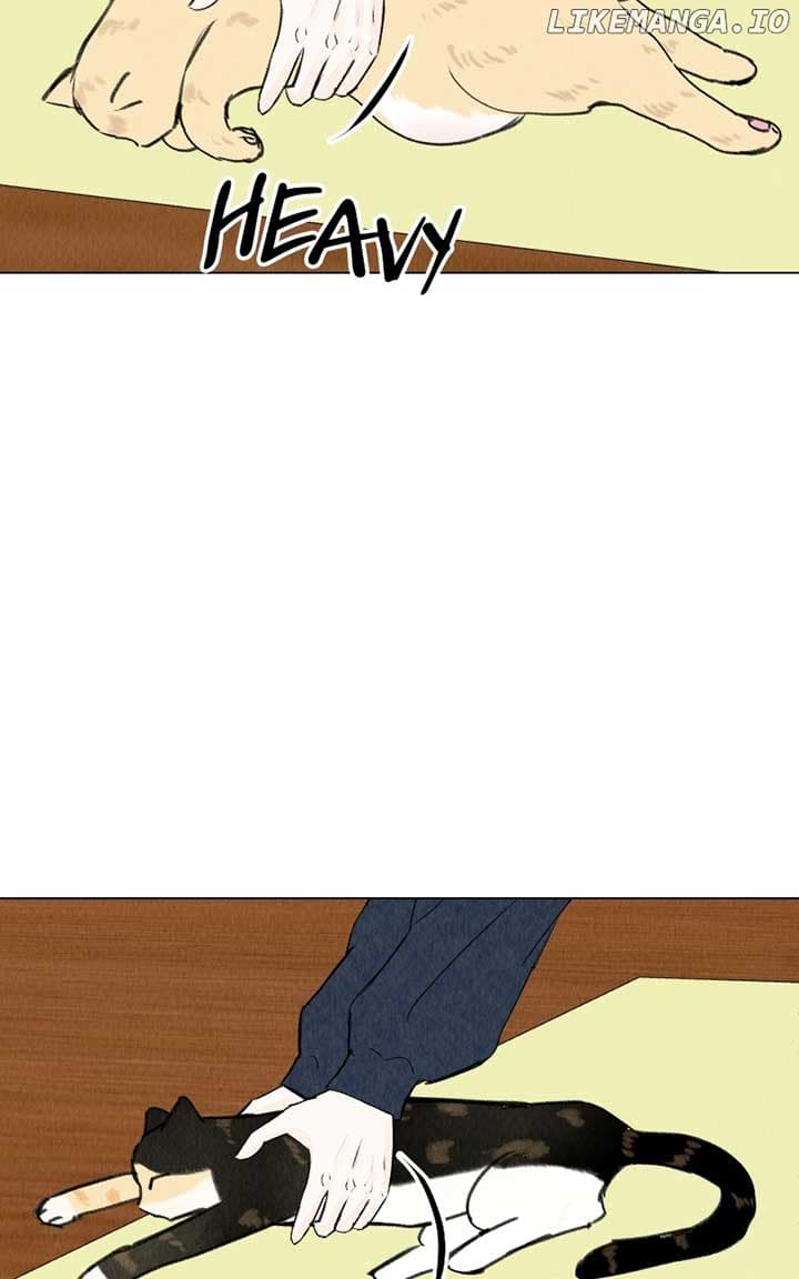 Page https://readmanhwaverse.com/images/want-to-see-my-cat/chapter-39/30.jpg