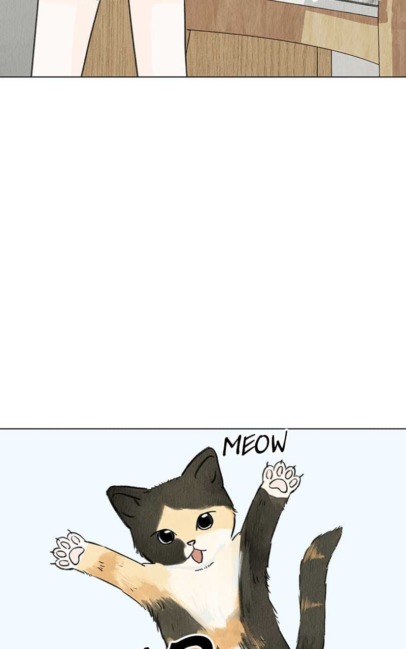 Page https://readmanhwaverse.com/images/want-to-see-my-cat/chapter-4/005.jpg