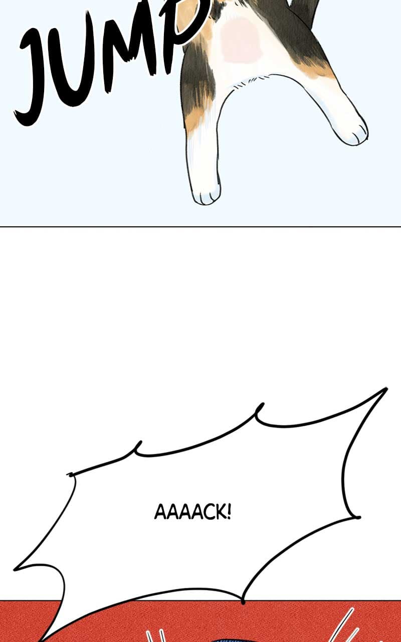 Page https://readmanhwaverse.com/images/want-to-see-my-cat/chapter-4/006.jpg