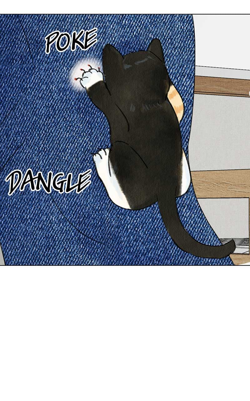 Page https://readmanhwaverse.com/images/want-to-see-my-cat/chapter-4/008.jpg