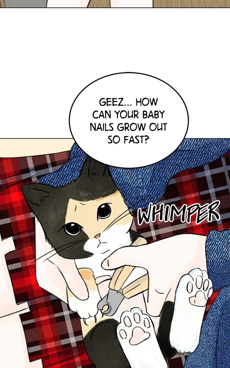 Page https://readmanhwaverse.com/images/want-to-see-my-cat/chapter-4/011.jpg