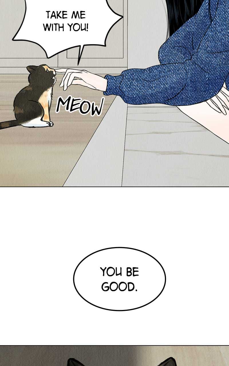 Page https://readmanhwaverse.com/images/want-to-see-my-cat/chapter-4/013.jpg