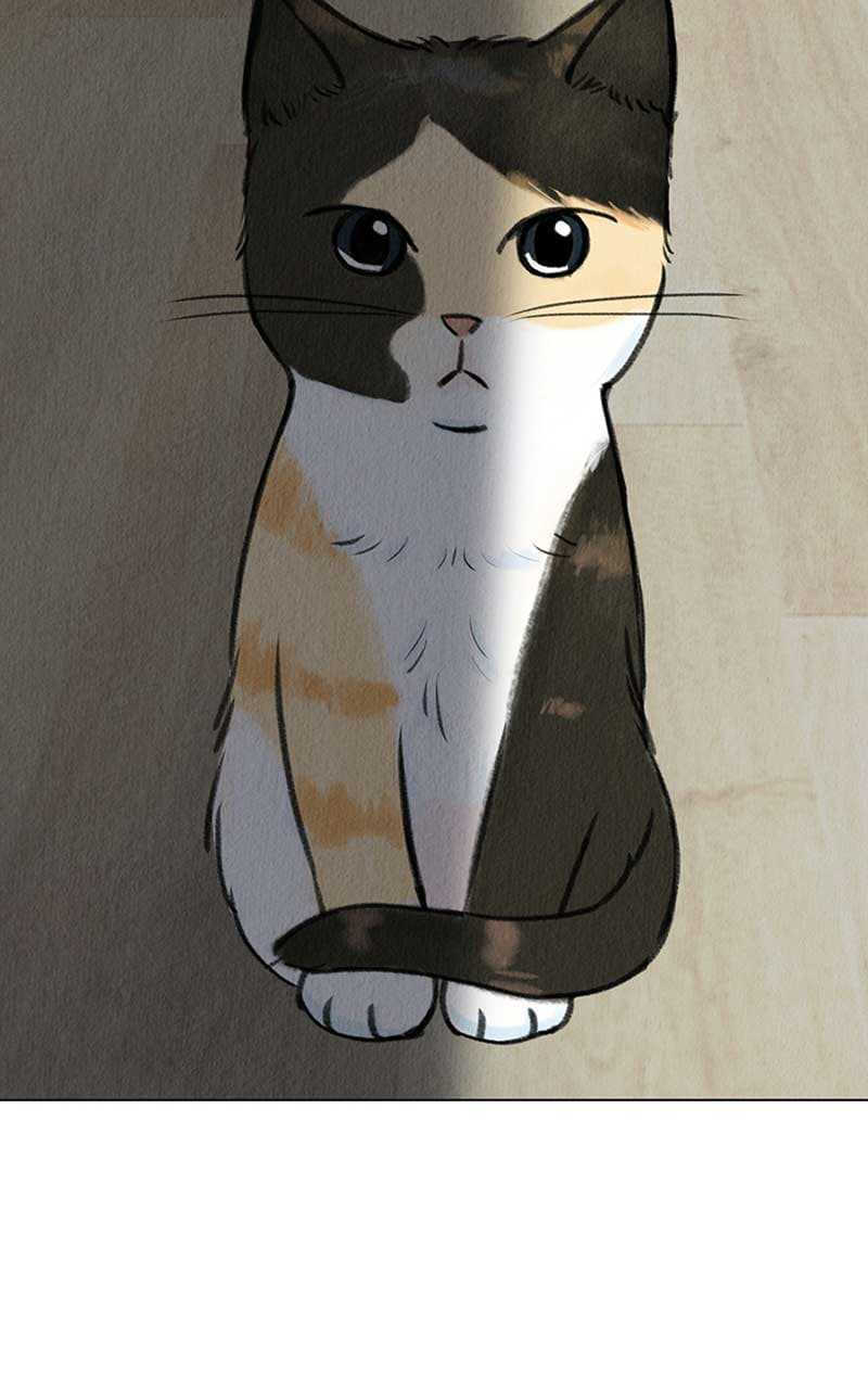 Page https://readmanhwaverse.com/images/want-to-see-my-cat/chapter-4/014.jpg